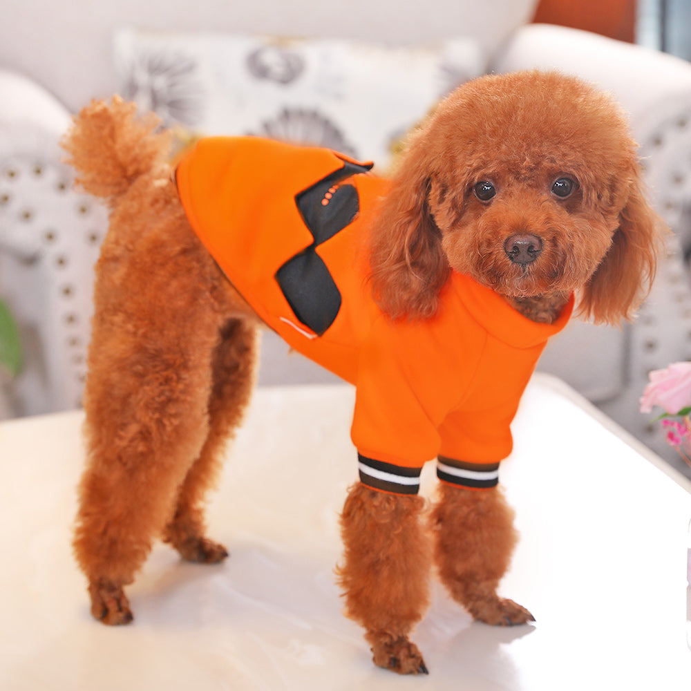 Pumpkin pet costume fit view