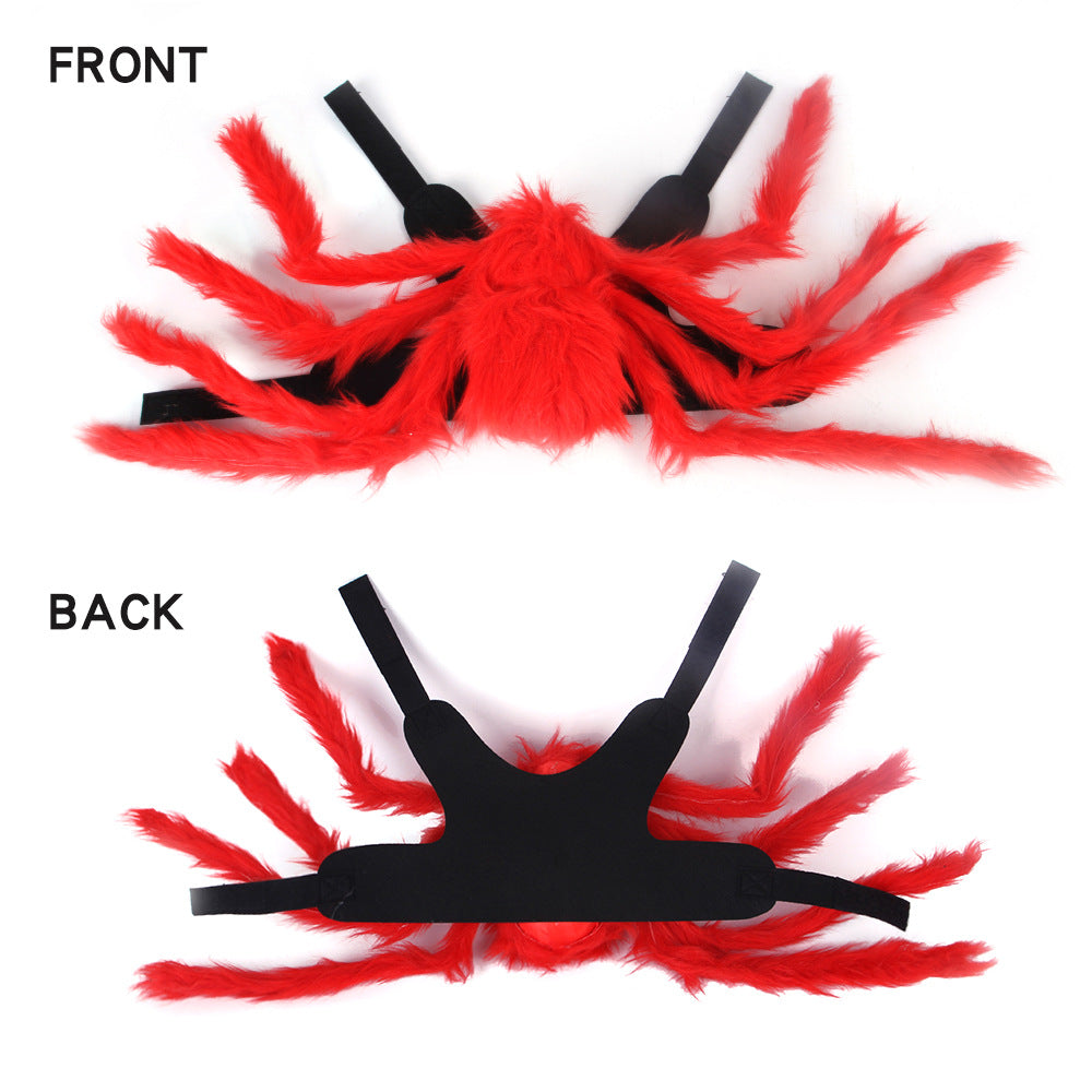 Spider pet costume on a dog