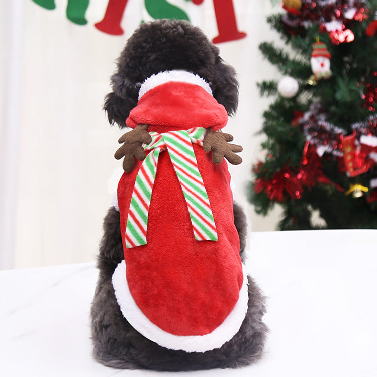 Small dog wearing the red Christmas reindeer cape with hood and scarf