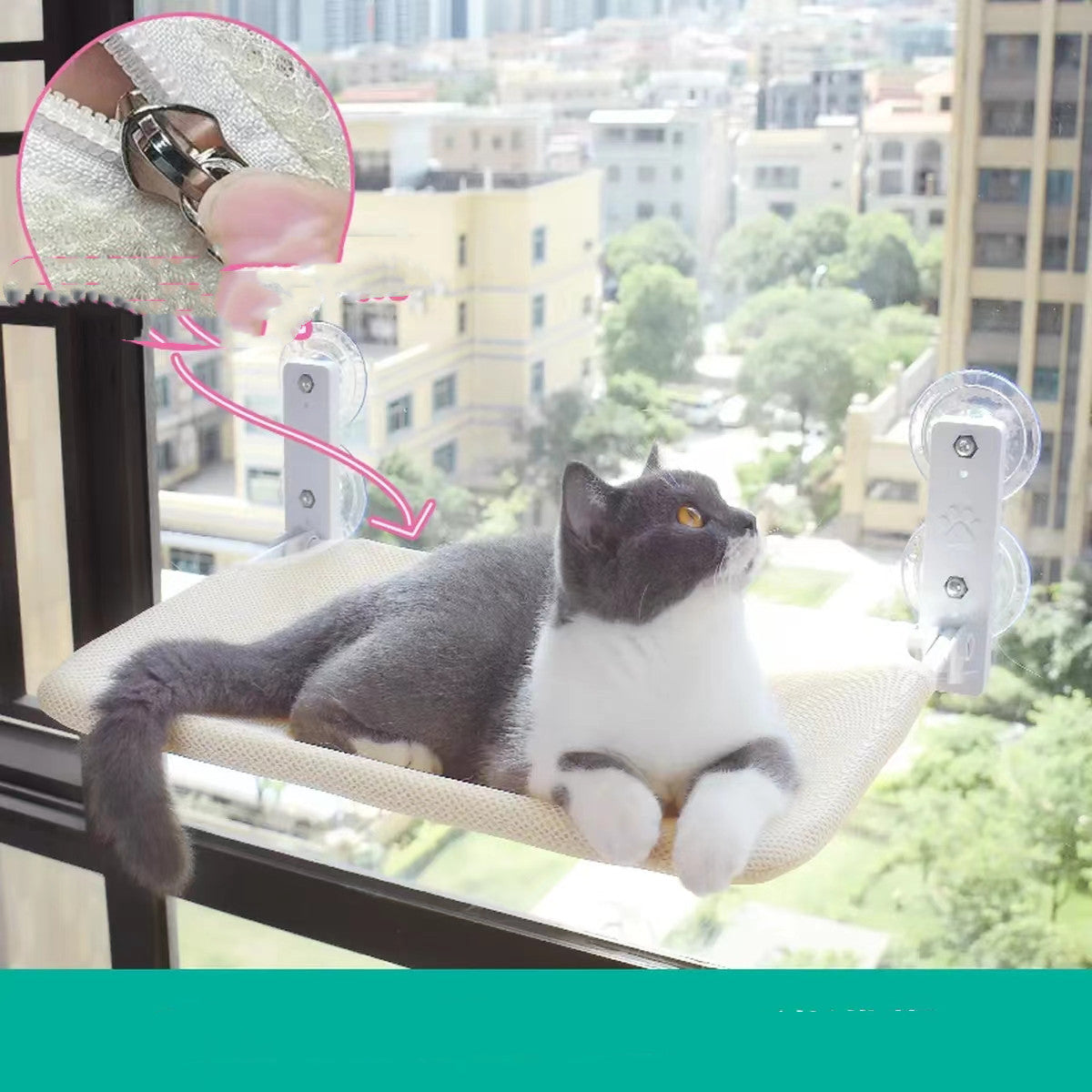 Cat enjoying elevated window view