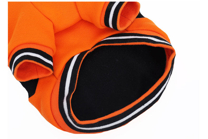 Pumpkin pet costume on dog