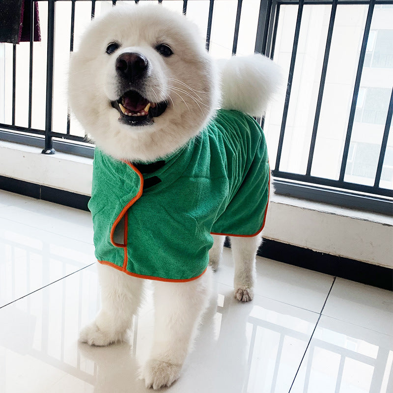 Samoyed wearing a green dog drying robe