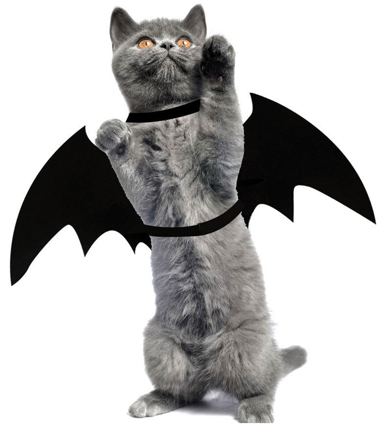 Bat wing pet costume worn by a cat