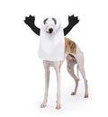Ghost pet costume side view