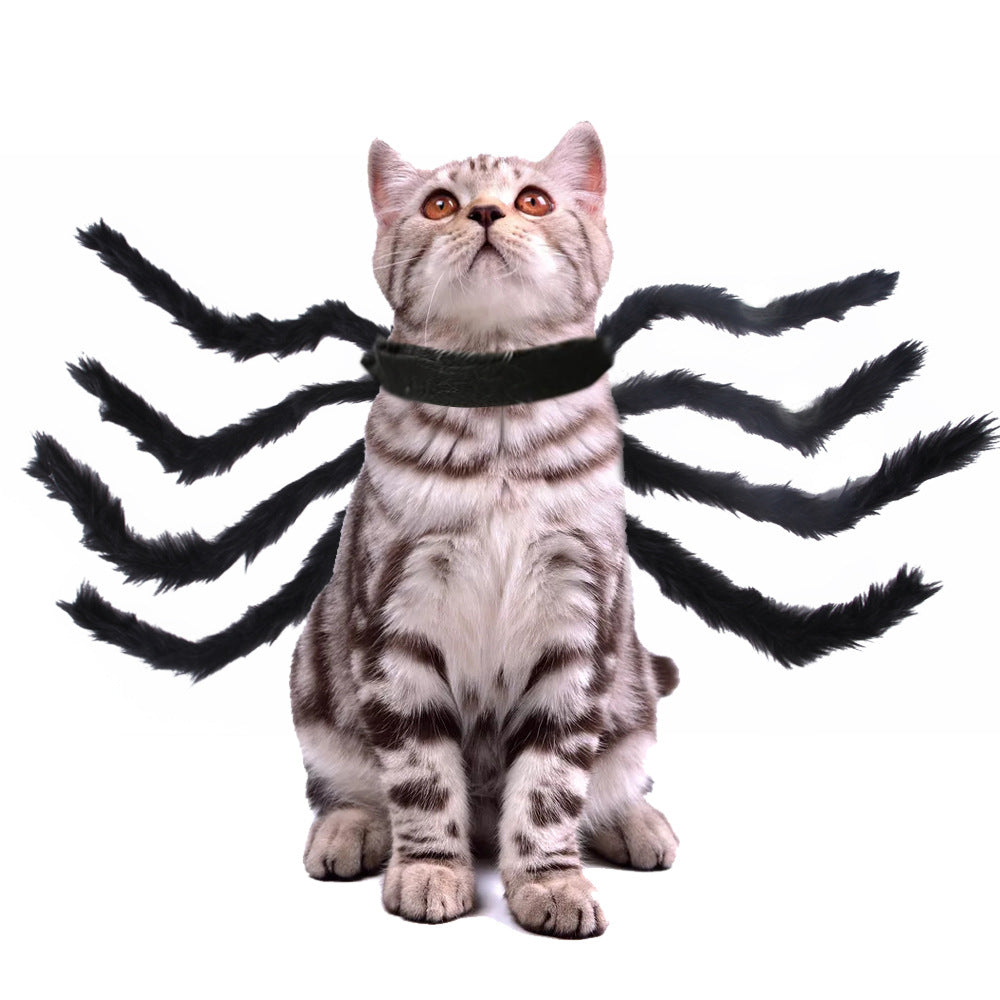 Spider pet costume product view