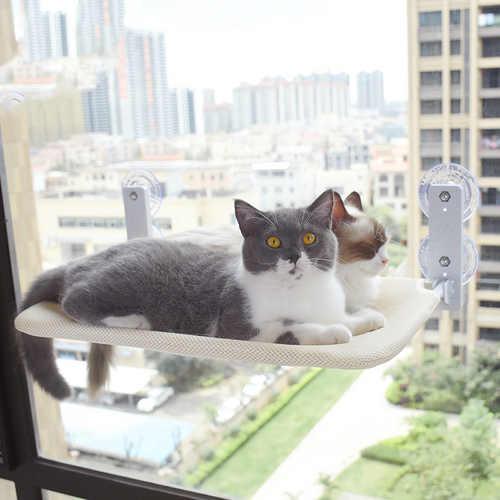 Cat window perch hammock mounted with suction cups