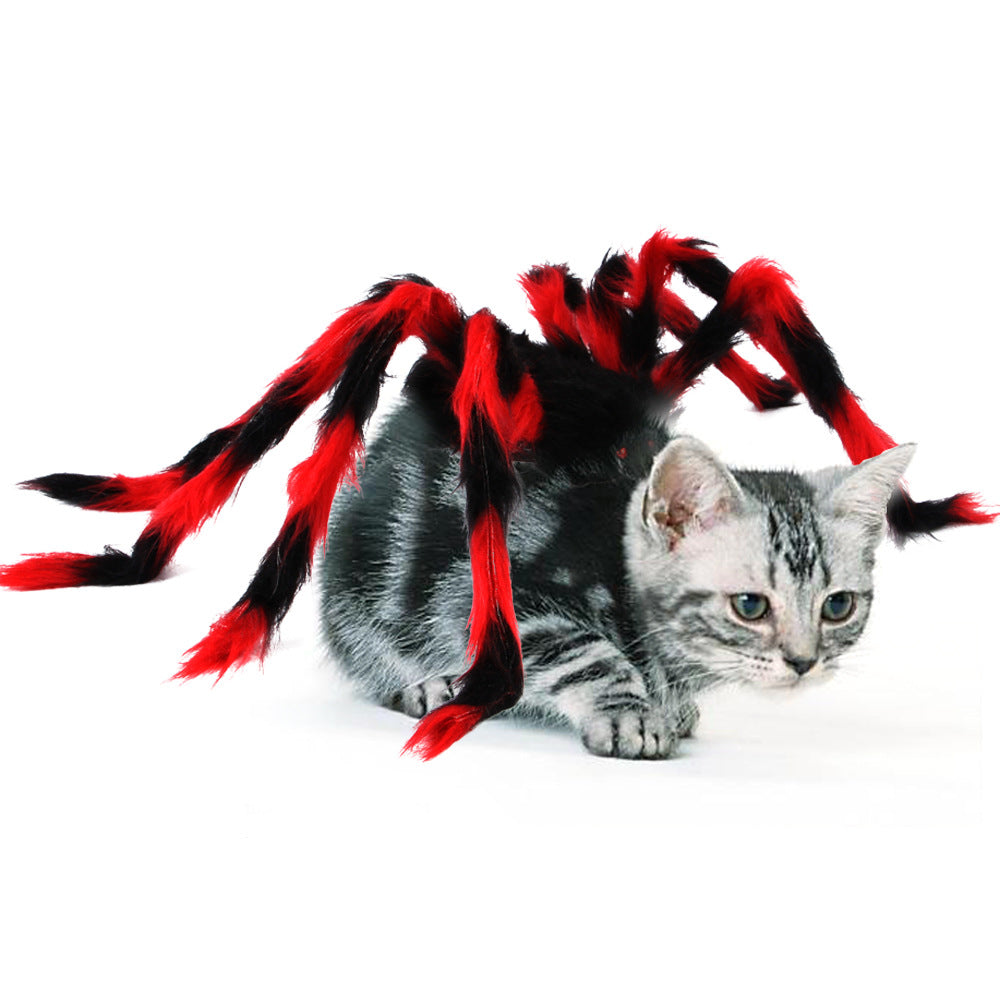 Spider pet costume worn by a pet