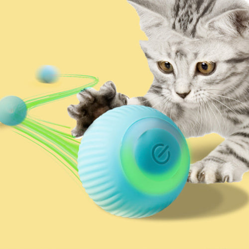 USB rechargeable motion-activated rolling ball pet toy