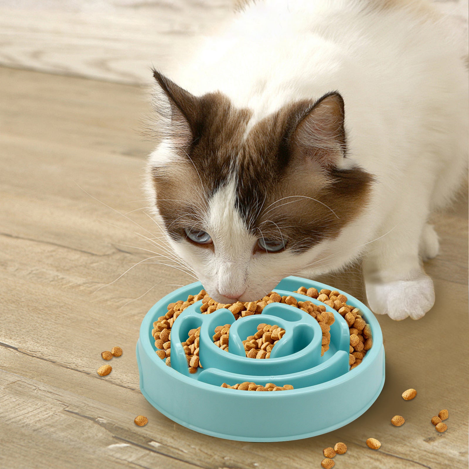 Slow feeder bowl non-slip base