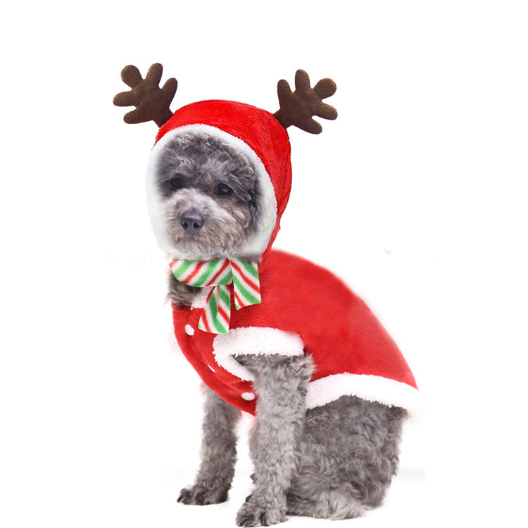 Dog wearing the reindeer antler hood and cape