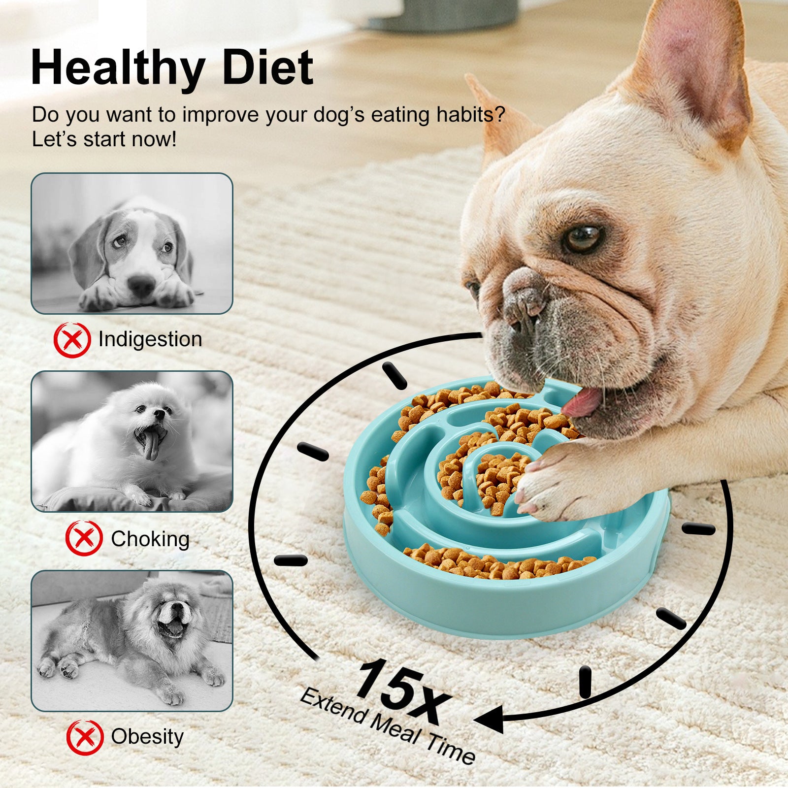 Dog eating from slow feeder bowl